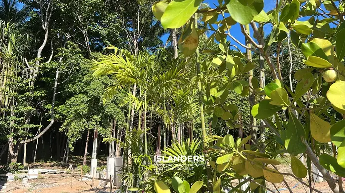 Breathtaking Land Lease in Thongsala, Koh Phangan