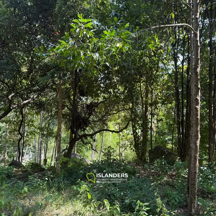 🌴 Beautiful Nature Land for Sale in Madae Wan, Koh Phangan – Quiet, Private & Ready to Build 🏡✨