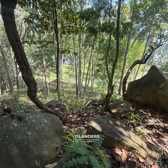🌴 Beautiful Nature Land for Sale in Madae Wan, Koh Phangan – Quiet, Private & Ready to Build 🏡✨