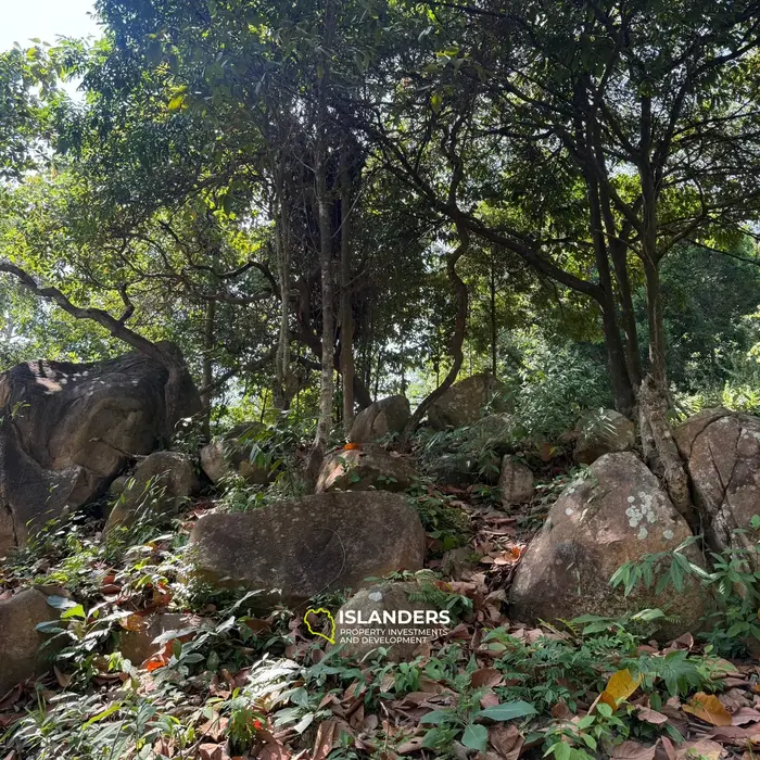 🌴 Beautiful Nature Land for Sale in Madae Wan, Koh Phangan – Quiet, Private & Ready to Build 🏡✨