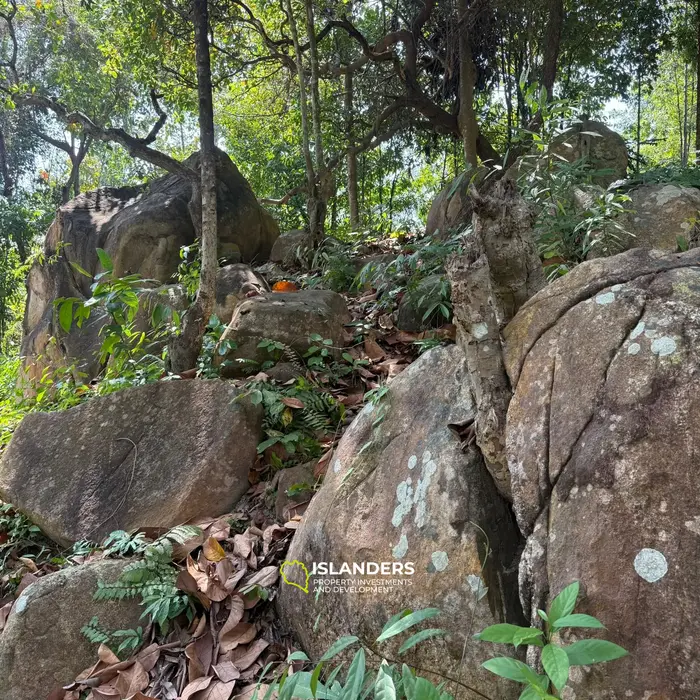 🌴 Beautiful Nature Land for Sale in Madae Wan, Koh Phangan – Quiet, Private & Ready to Build 🏡✨