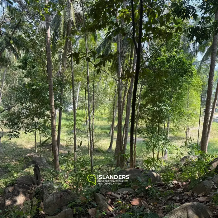 🌴 Beautiful Nature Land for Sale in Madae Wan, Koh Phangan – Quiet, Private & Ready to Build 🏡✨