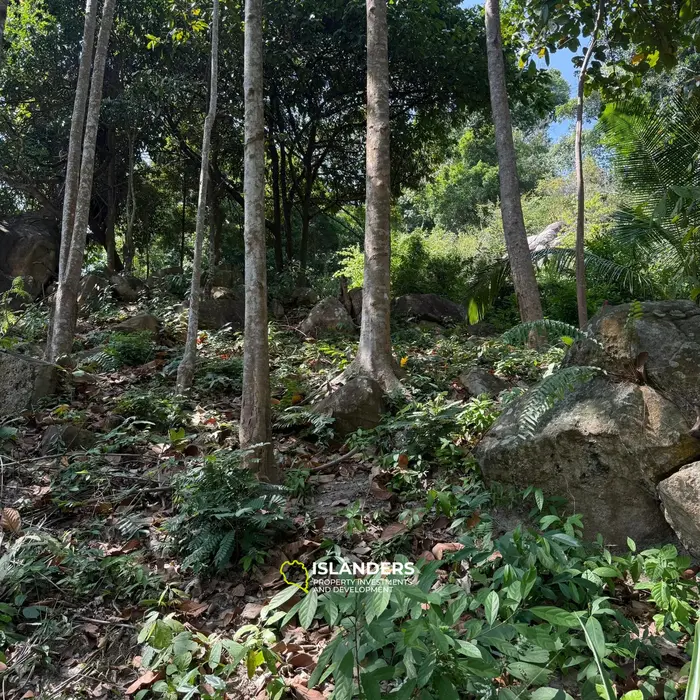 🌴 Beautiful Nature Land for Sale in Madae Wan, Koh Phangan – Quiet, Private & Ready to Build 🏡✨