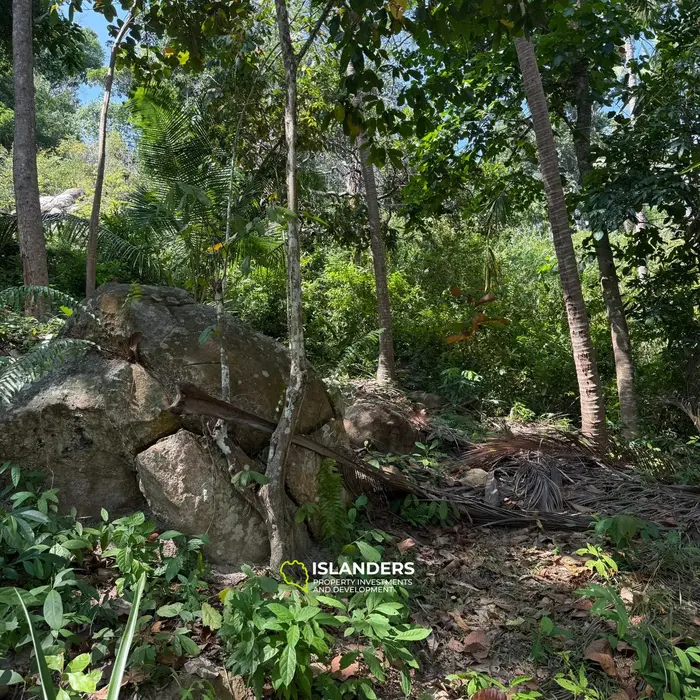🌴 Beautiful Nature Land for Sale in Madae Wan, Koh Phangan – Quiet, Private & Ready to Build 🏡✨