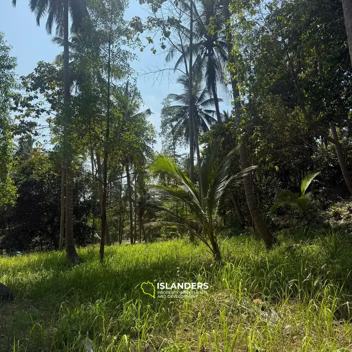 🌴 Beautiful Nature Land for Sale in Madae Wan, Koh Phangan – Quiet, Private & Ready to Build 🏡✨