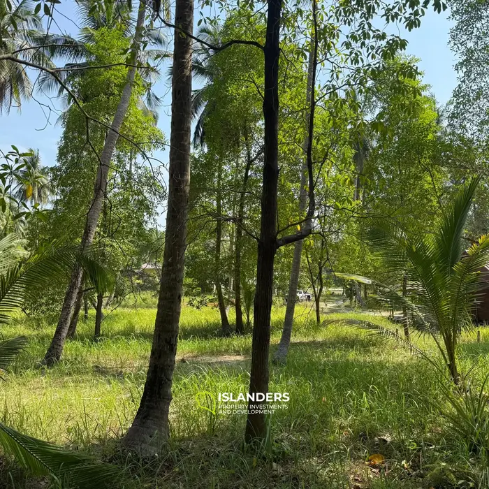 🌴 Beautiful Nature Land for Sale in Madae Wan, Koh Phangan – Quiet, Private & Ready to Build 🏡✨