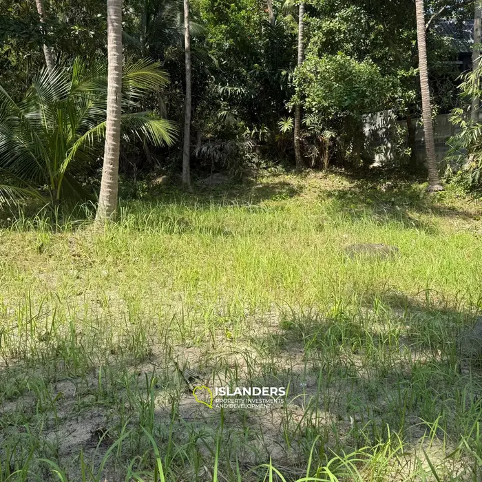 🌴 Beautiful Nature Land for Sale in Madae Wan, Koh Phangan – Quiet, Private & Ready to Build 🏡✨