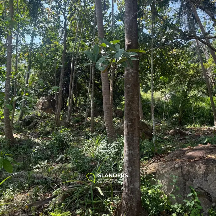 🌴 Beautiful Nature Land for Sale in Madae Wan, Koh Phangan – Quiet, Private & Ready to Build 🏡✨