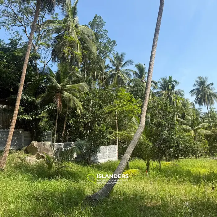 🌴 Beautiful Nature Land for Sale in Madae Wan, Koh Phangan – Quiet, Private & Ready to Build 🏡✨