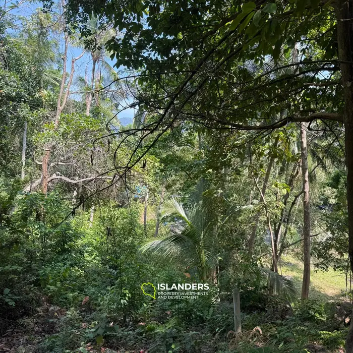 🌴 Beautiful Nature Land for Sale in Madae Wan, Koh Phangan – Quiet, Private & Ready to Build 🏡✨