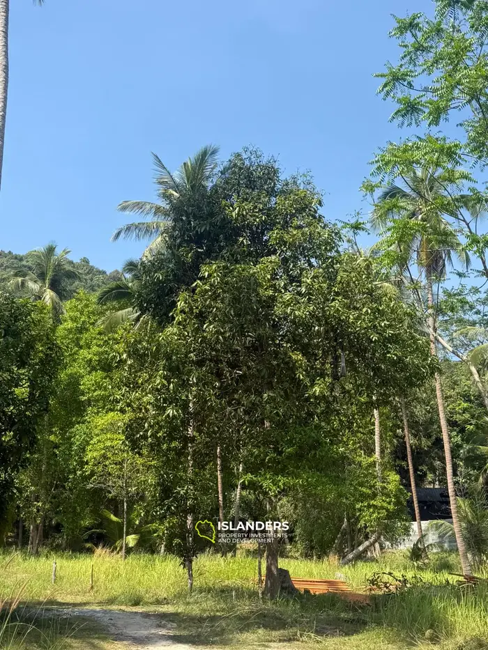 🌴 Beautiful Nature Land for Sale in Madae Wan, Koh Phangan – Quiet, Private & Ready to Build 🏡✨