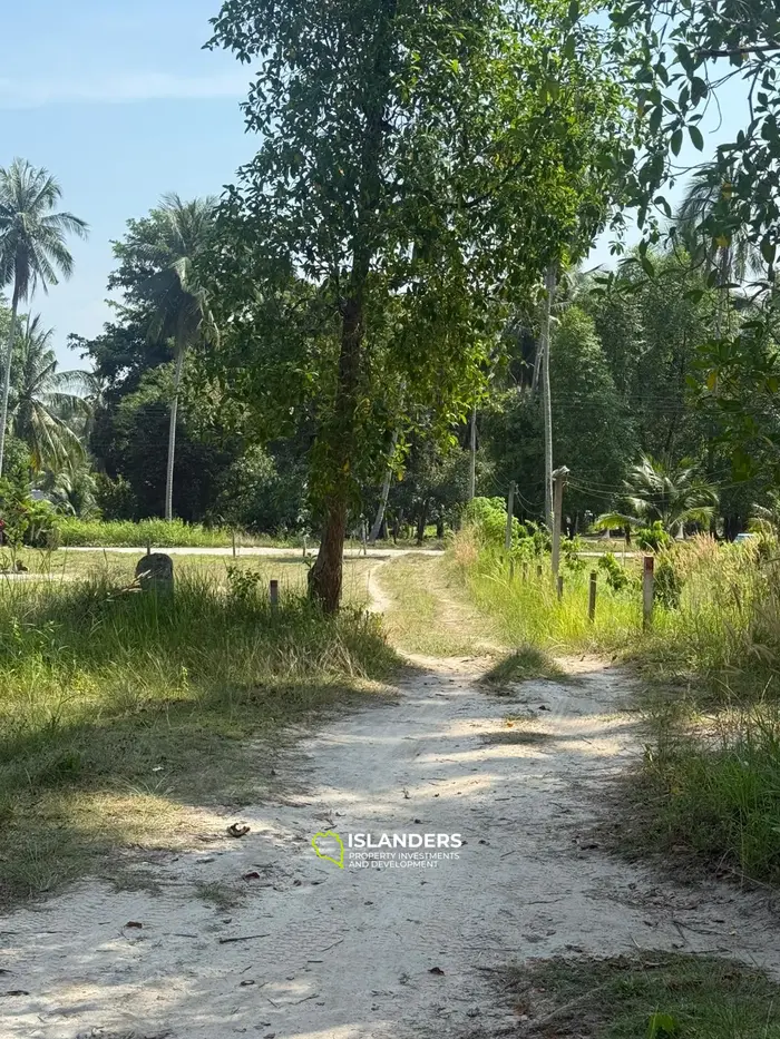 🌴 Beautiful Nature Land for Sale in Madae Wan, Koh Phangan – Quiet, Private & Ready to Build 🏡✨