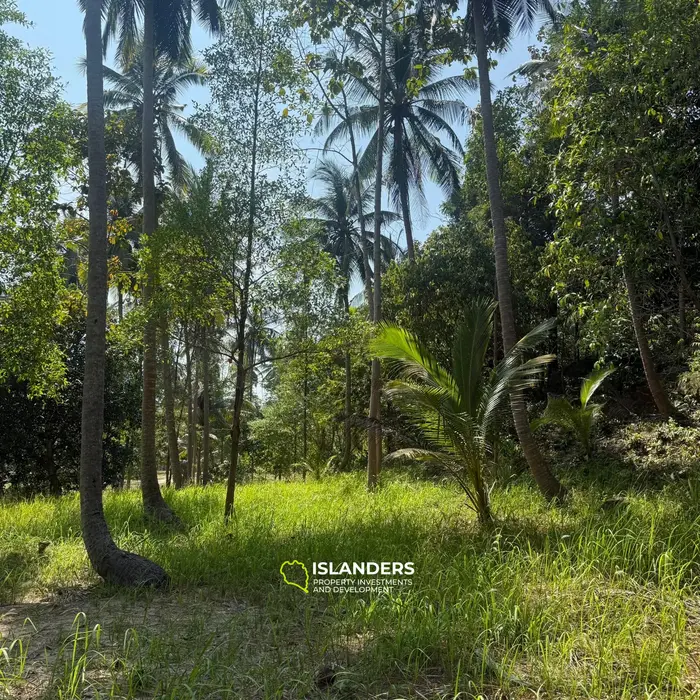 🌴 Beautiful Nature Land for Sale in Madae Wan, Koh Phangan – Quiet, Private & Ready to Build 🏡✨