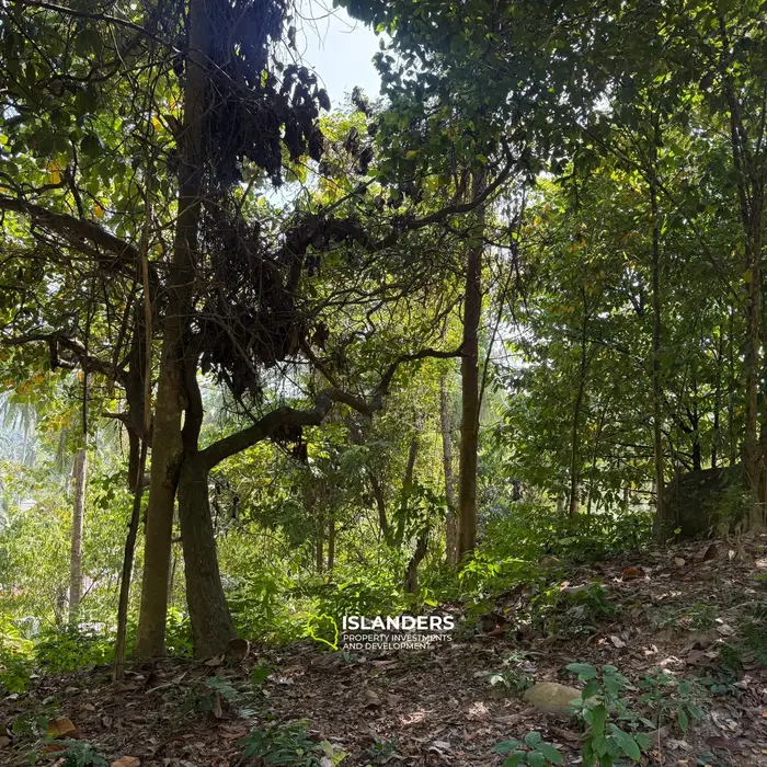 🌴 Beautiful Nature Land for Sale in Madae Wan, Koh Phangan – Quiet, Private & Ready to Build 🏡✨