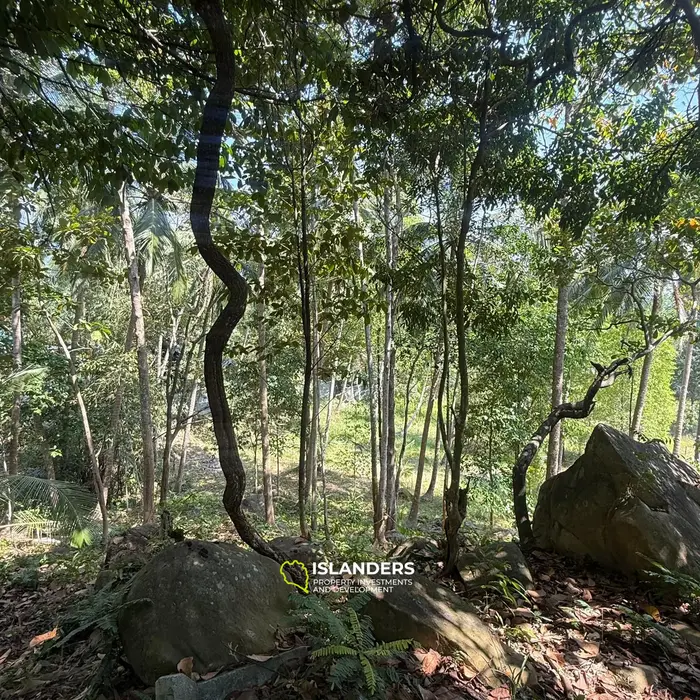 🌴 Beautiful Nature Land for Sale in Madae Wan, Koh Phangan – Quiet, Private & Ready to Build 🏡✨