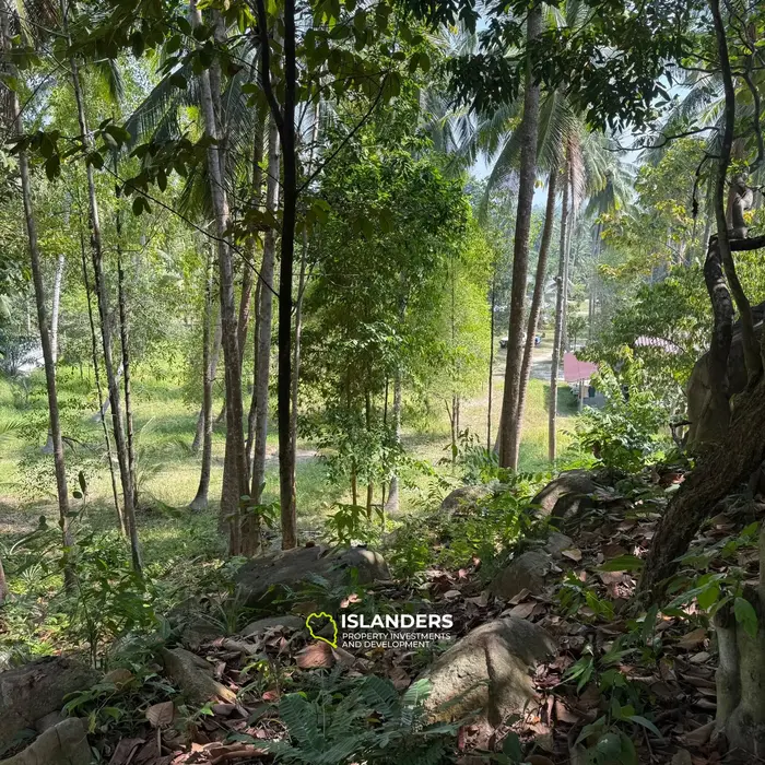 🌴 Beautiful Nature Land for Sale in Madae Wan, Koh Phangan – Quiet, Private & Ready to Build 🏡✨