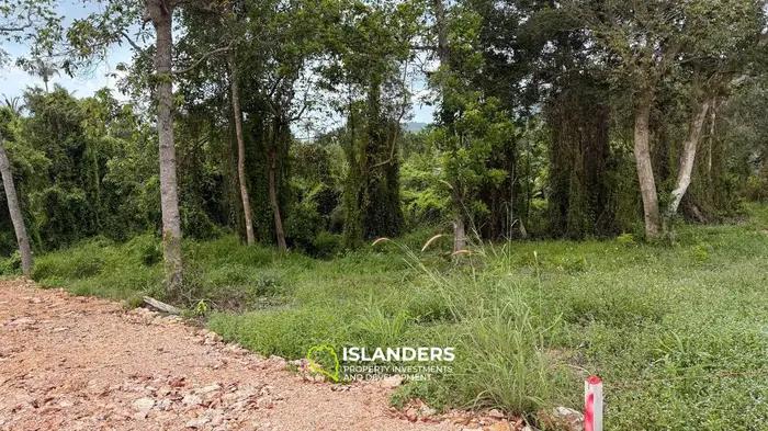 Land Plot for Sale – 400 sqm | Central Island Location