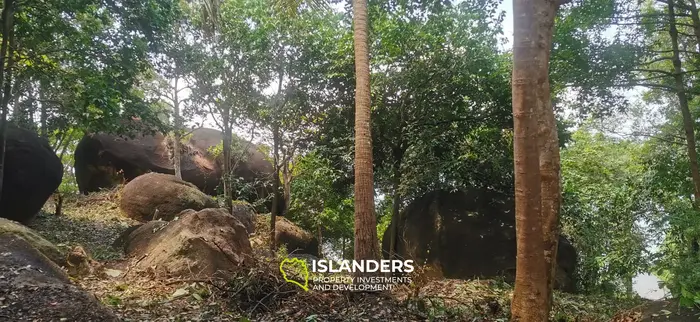 Sea View Land Plot in Naiwok