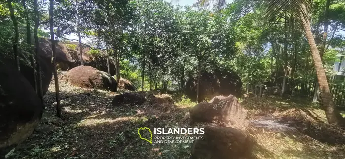 Sea View Land Plot in Naiwok