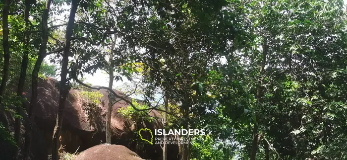 Sea View Land Plot in Naiwok