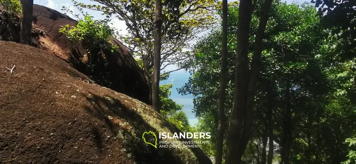 Sea View Land Plot in Naiwok