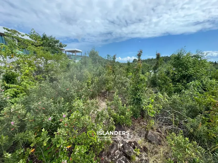 Prime Sea View Land – Srithanu