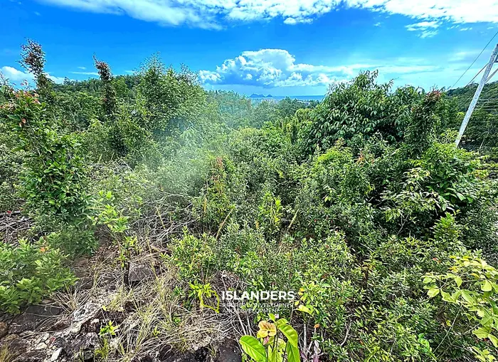 Prime Sea View Land – Srithanu